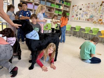 Canisterapeutický tým Olaf a Miri