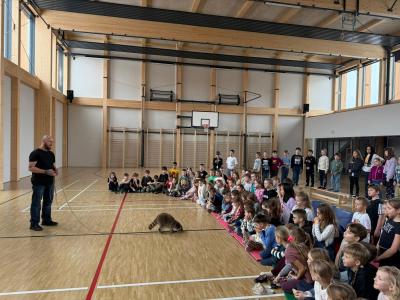 Mýval Ludvík ve školní družině