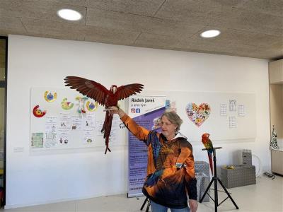 Papoušci v družině