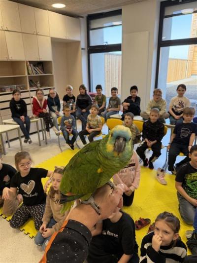 Papoušci v družině