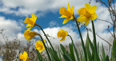 Plán školní družiny - březen 2026