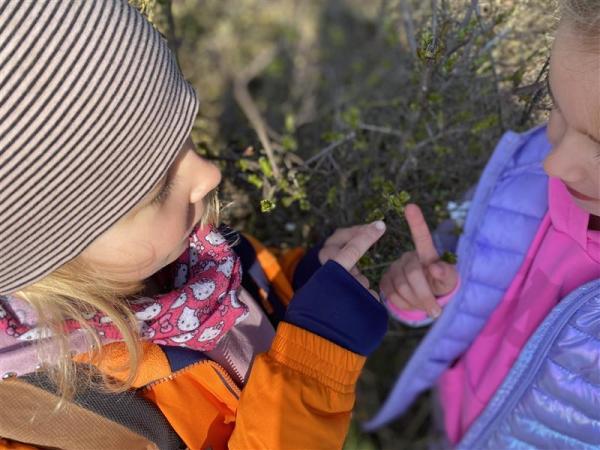 Výprava "na větvi"