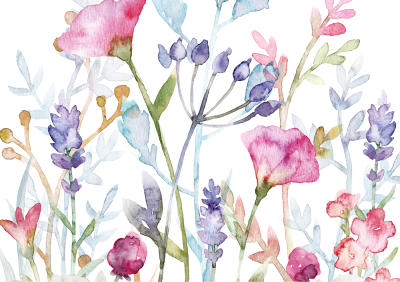 Plán školní družiny - květen 2026